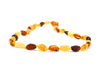 Polished Multi 4 Color Baroque Amber Teething Necklace